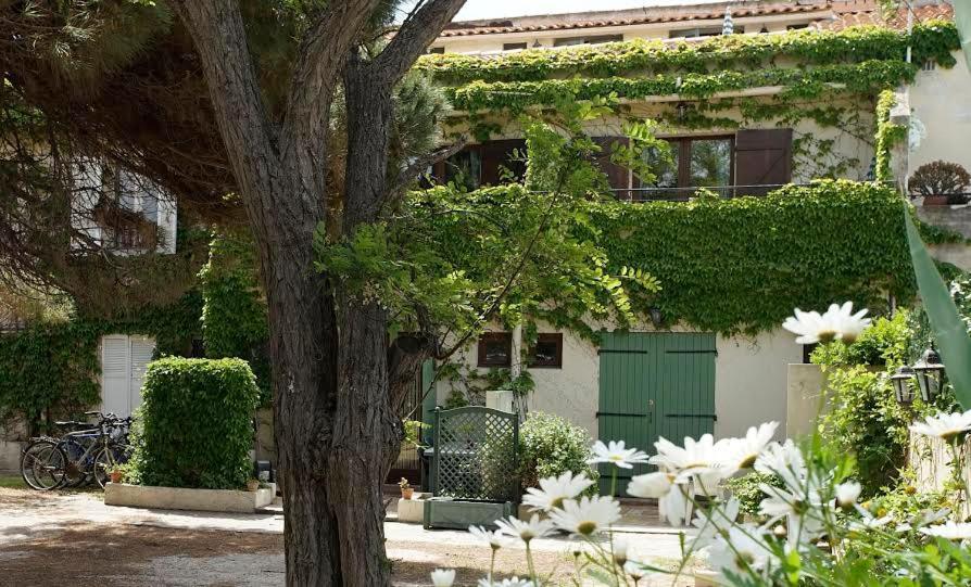 Résidence Les Mandariniers Hyères Exterior foto