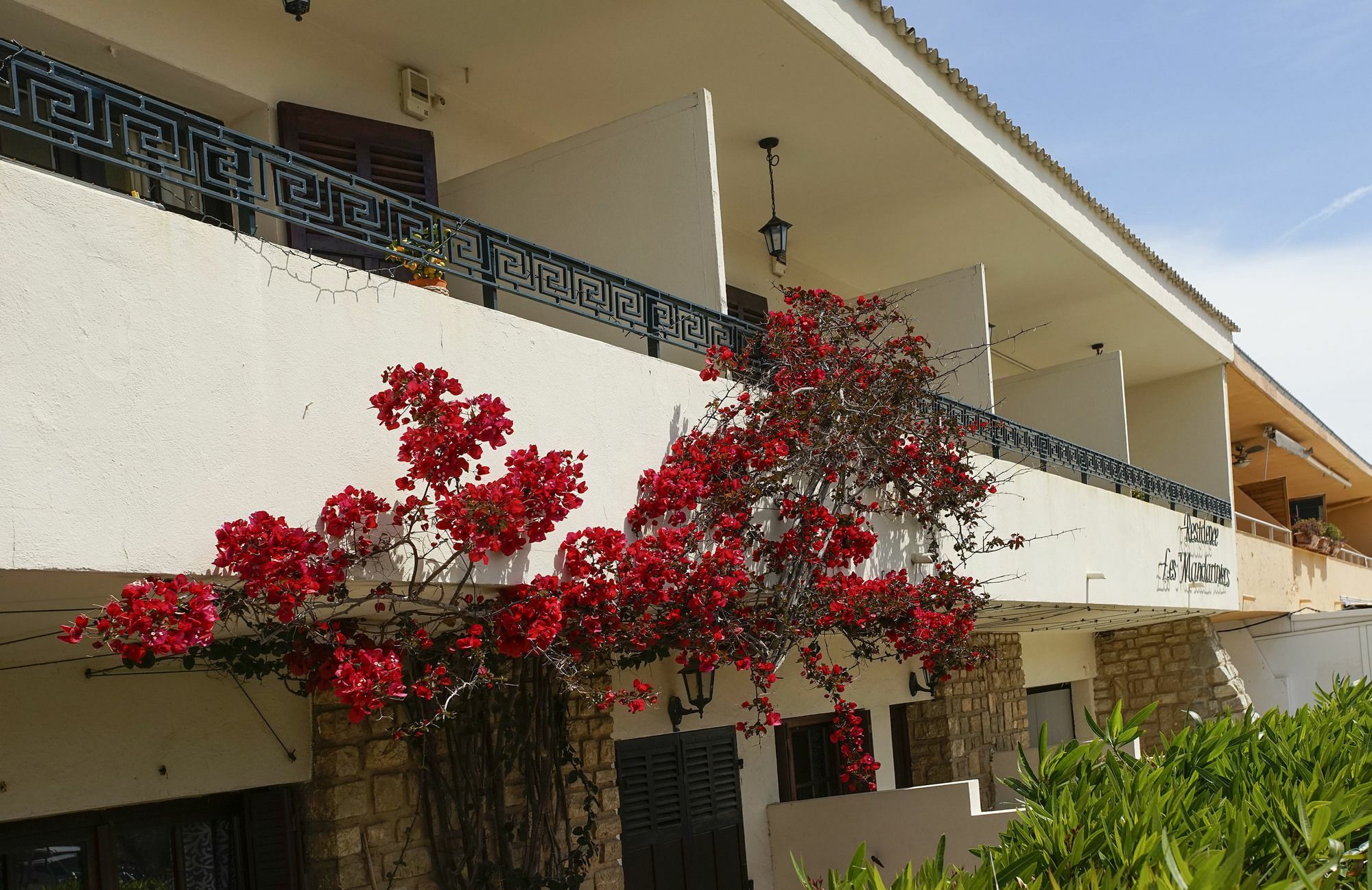 Résidence Les Mandariniers Hyères Exterior foto